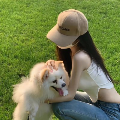 双食记封面