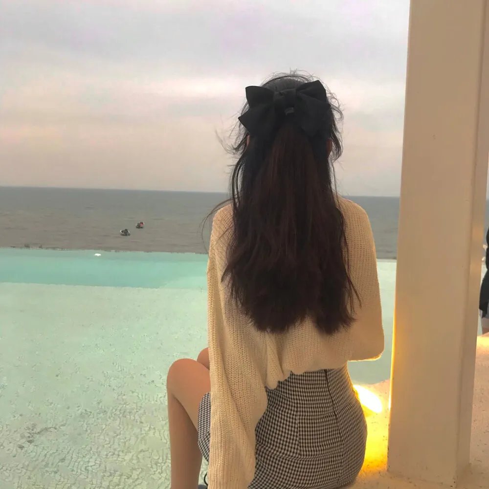 流氓保镳封面